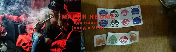 дмт Краснослободск