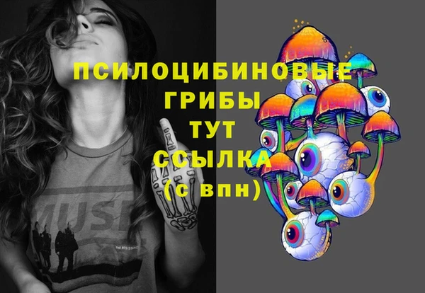 дмт Краснослободск