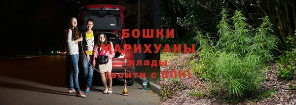 дмт Краснослободск