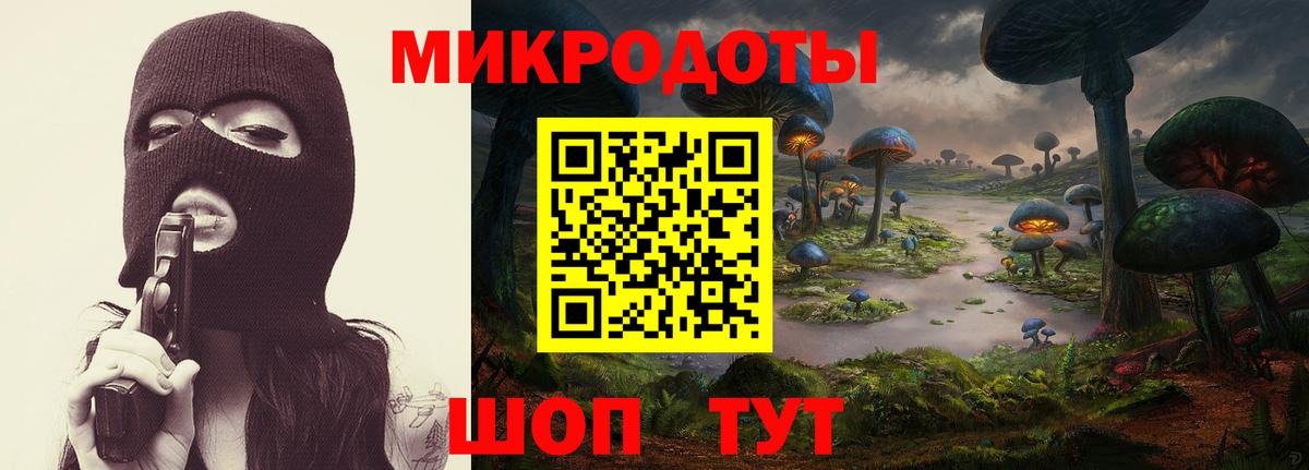 Галлюциногенные грибы Psilocybine cubensis  Россия 